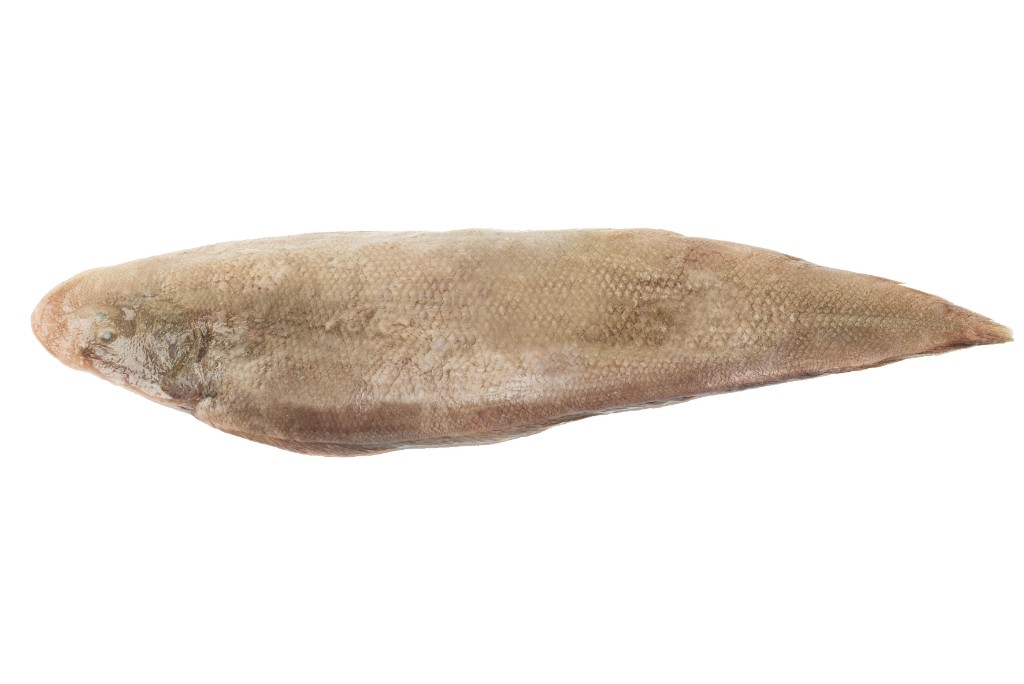 Lengua (Cynoglossus Spp)