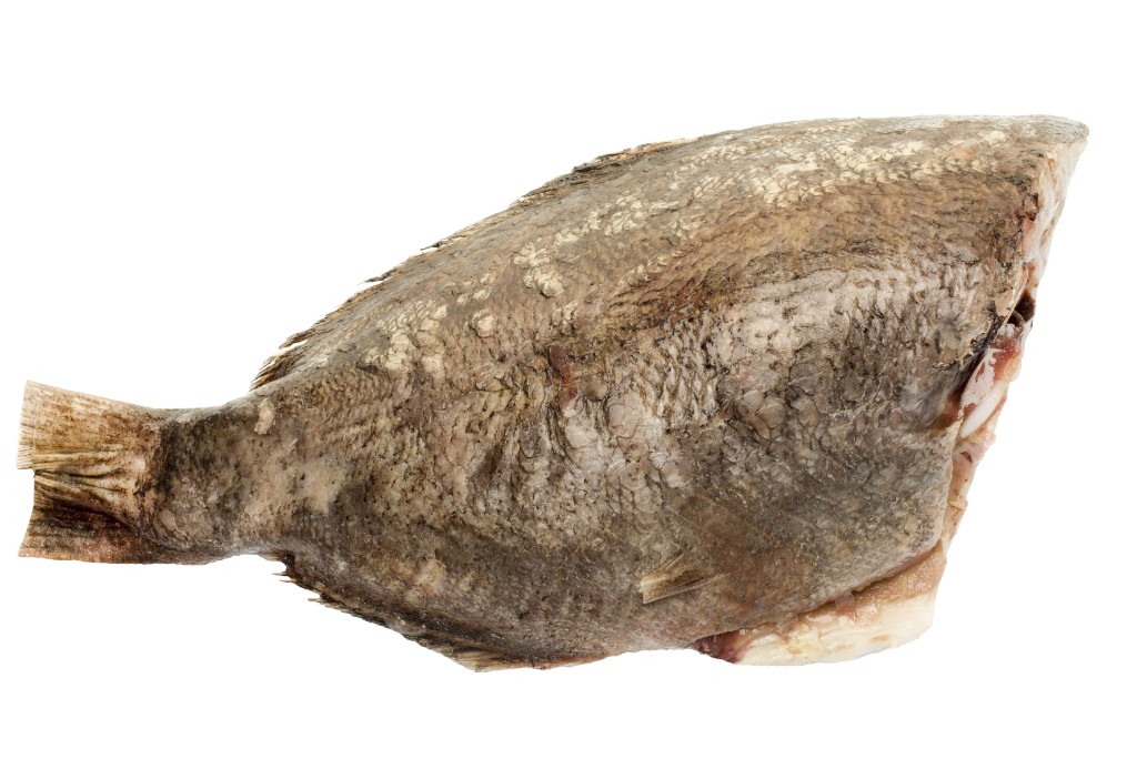Pámpano (Stromateus Spp)